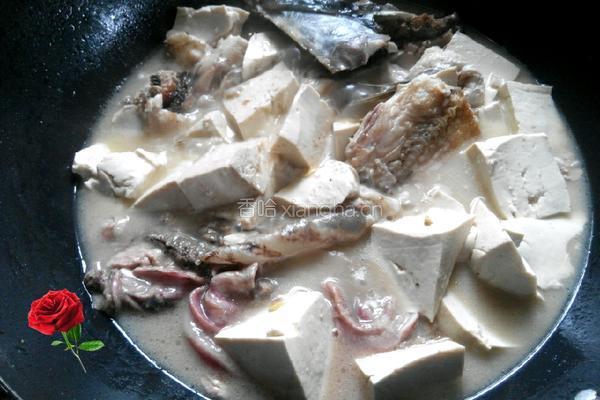 鱼肉炖豆腐的做法图解6