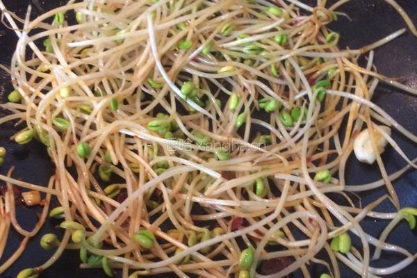 豆芽炒粉条的做法图解3