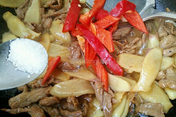 嫩姜炒肉的做法图解7