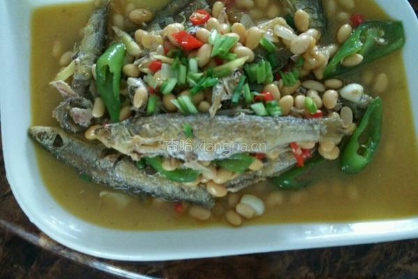 黄豆烧河鱼的做法图解4