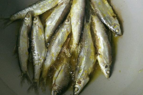 黄豆烧河鱼的做法图解2
