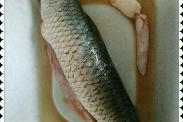 孔雀开屏的做法图解1
