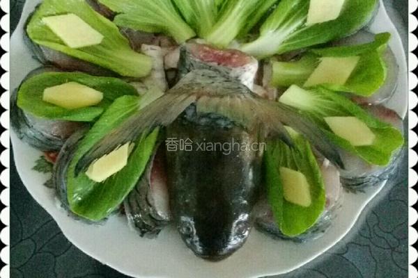 孔雀开屏的做法图解4