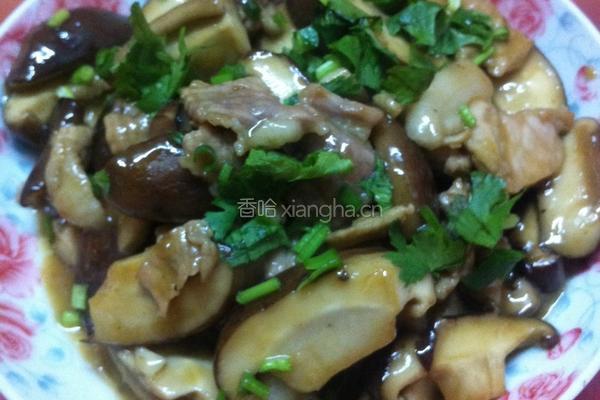 肉片炒香菇的做法图解5
