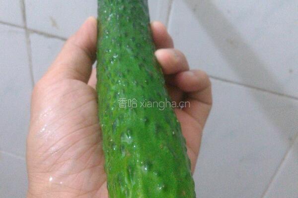 蓑衣黄瓜的做法图解1