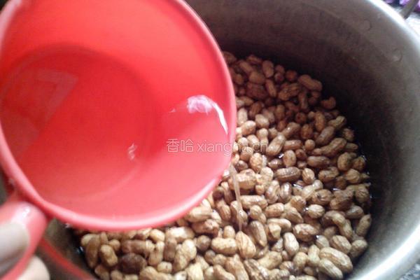 盐水花生的做法图解4