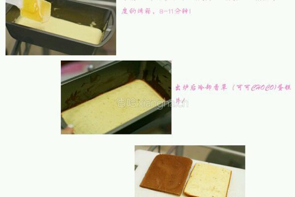 巧克力香草蛋糕的做法图解8