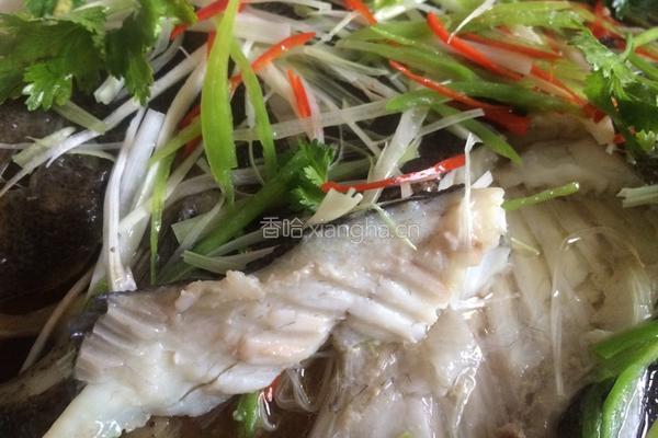 清蒸多宝鱼的做法图解13