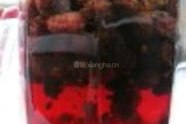 桑椹酒的做法图解4
