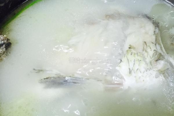 鲫鱼豆腐汤的做法图解4