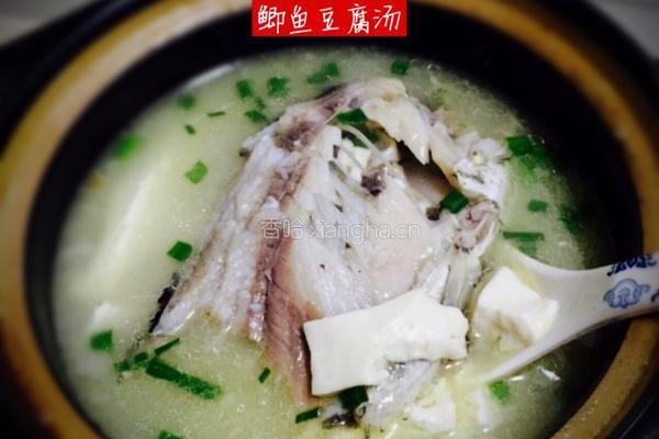 鲫鱼豆腐汤的做法图解5