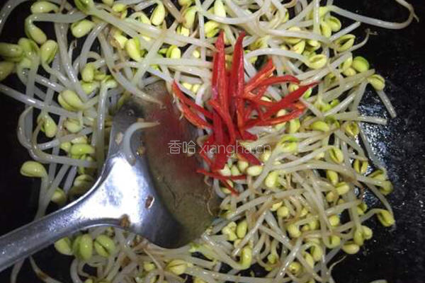 五花肉炒黄豆芽的做法图解6