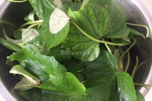 蒜香番薯叶的做法图解2