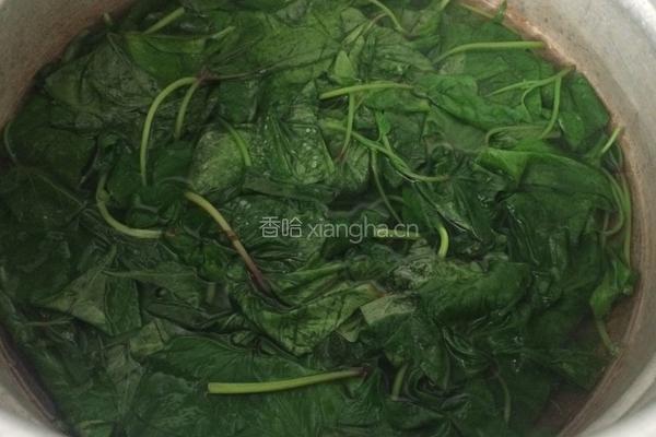 蒜香番薯叶的做法图解3