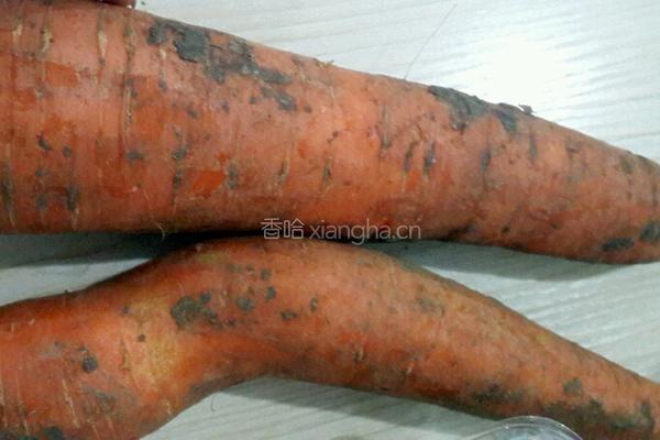 羊肉萝卜养身汤的做法图解4