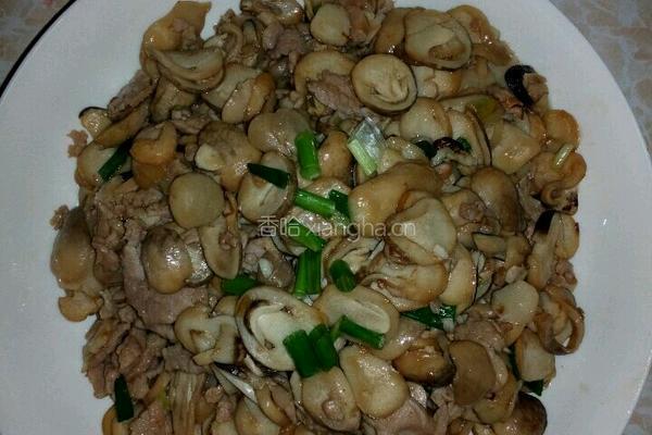 草菇炒肉的做法图解11