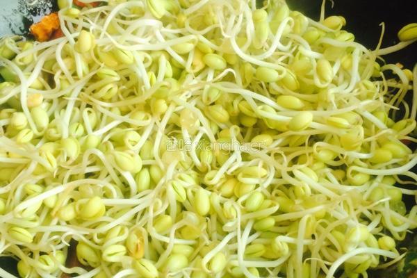 干煸黄豆芽的做法图解3