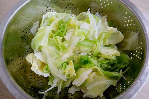 手撕圆白菜的做法图解6