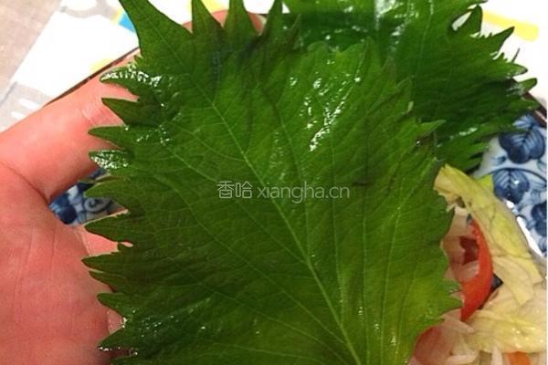 涮肉沙拉的做法图解7