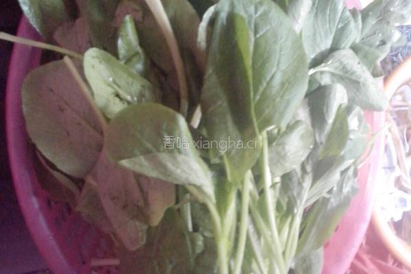 青菜汤的做法图解1