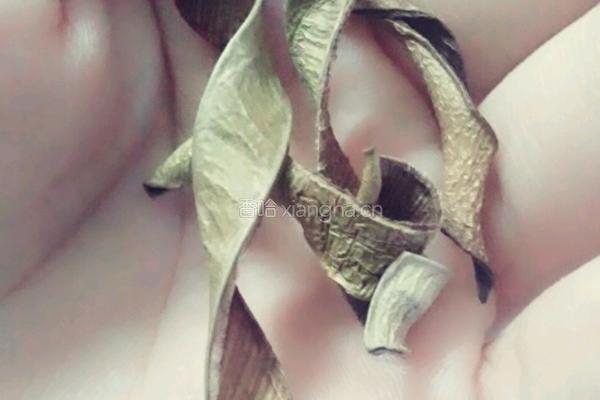 植物养颜瘦身茶之 “碧海微醺”的做法图解1