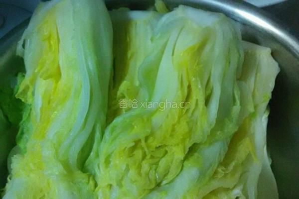 泡菜的做法图解8