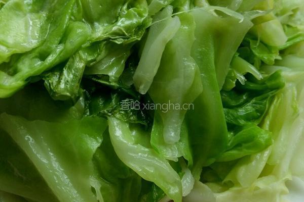 小炒圆白菜的做法图解4