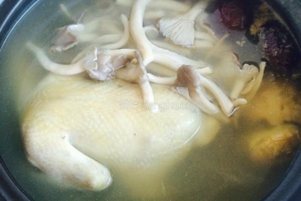 鸽子蘑菇汤的做法图解5