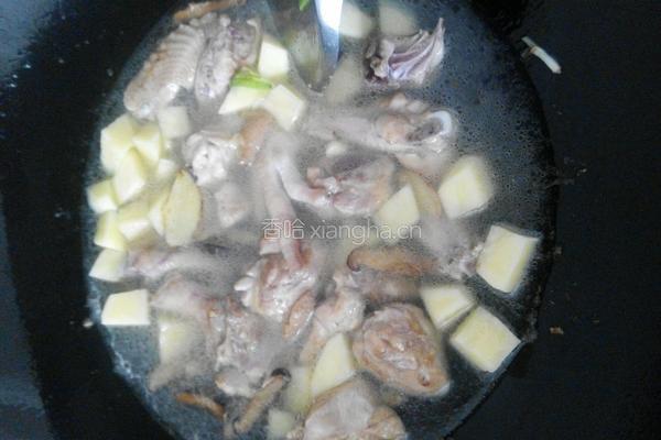 香菇土豆焖鸡的做法图解6