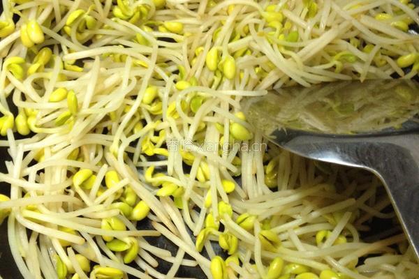 干煸黄豆芽的做法图解2