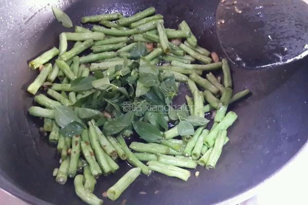 九层塔炒豆角的做法图解6