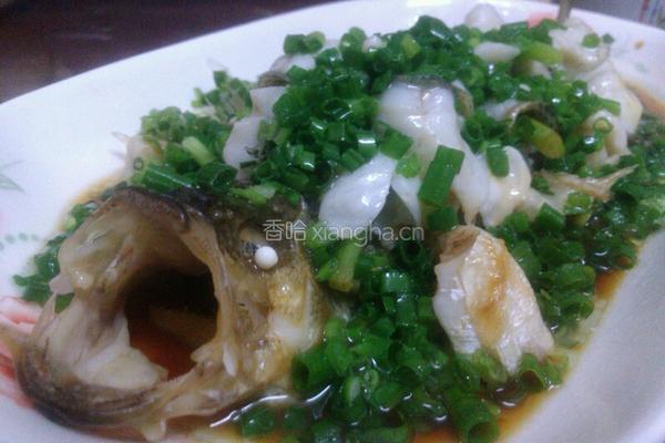 䓤油鲈鱼的做法图解14