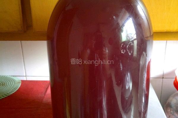 自酿葡萄酒的做法图解4