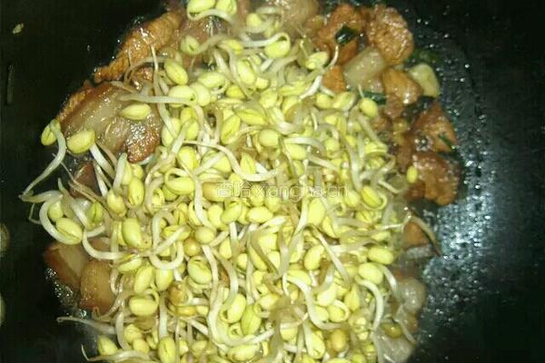 黄豆芽烧五花肉的做法图解3