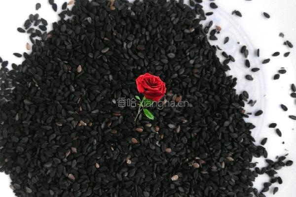 黑豆骨头汤的做法图解6