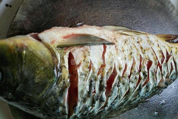糖醋鲤鱼的做法图解1
