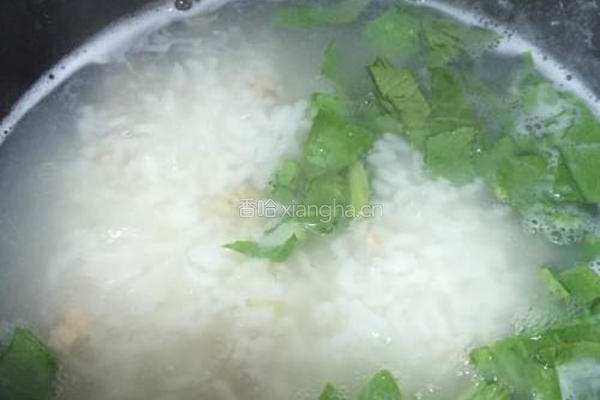 青菜瘦肉粥的做法图解5
