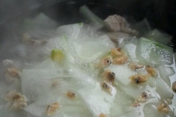 冬瓜排骨汤的做法图解5