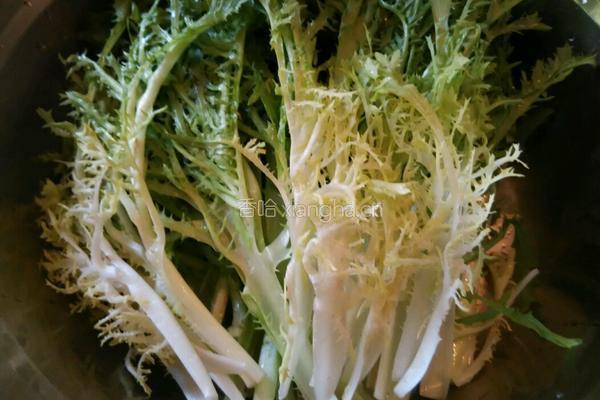凉拌苦菊的做法图解1