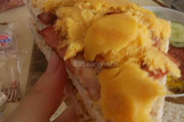 简易豪华版三明治的做法图解14