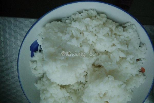 洋葱炒饭的做法图解2
