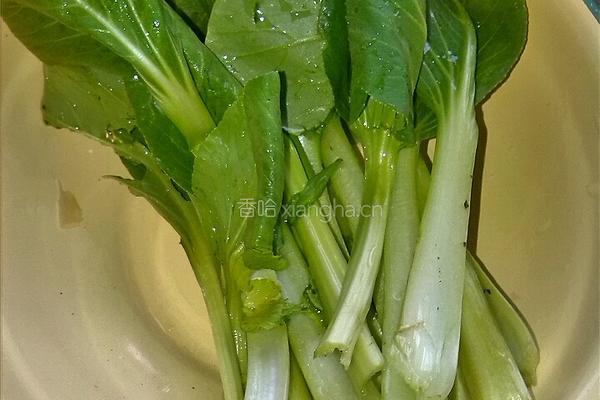 小鸡炖蘑菇的做法图解4