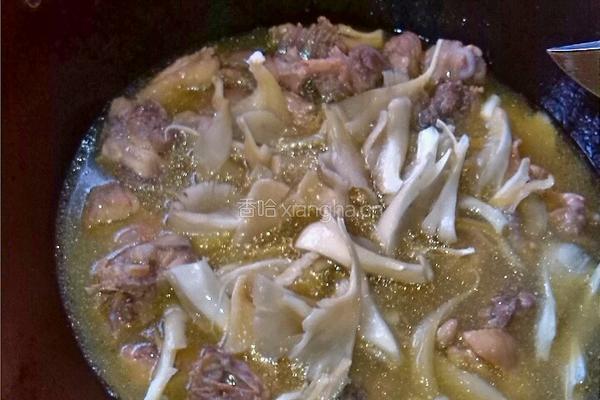 小鸡炖蘑菇的做法图解5
