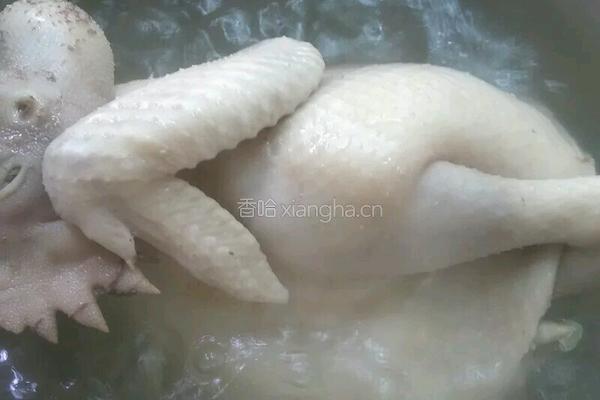 白切鸡的做法图解4