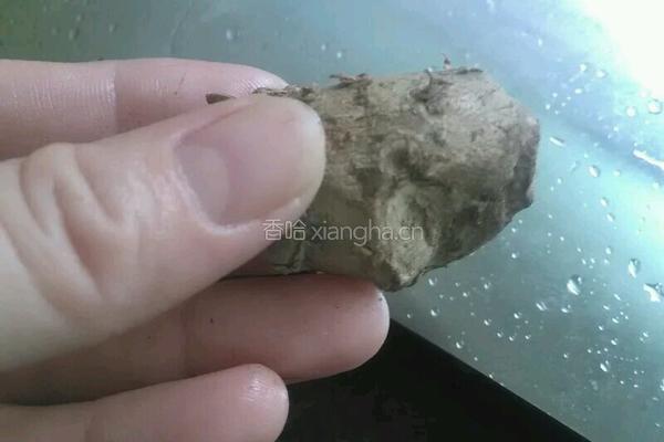 白切鸡的做法图解7