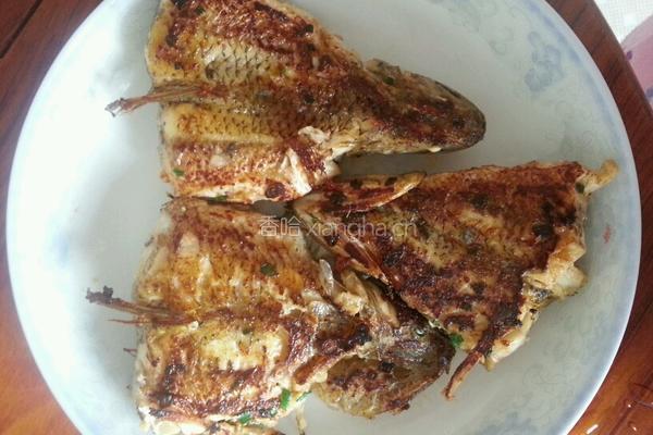 奎龙鱼饼的做法图解6