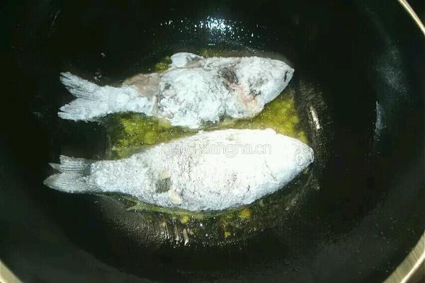 鲫鱼豆腐汤的做法图解6