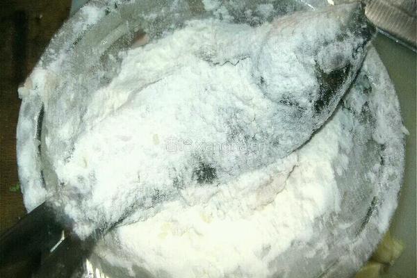 鲫鱼豆腐汤的做法图解9