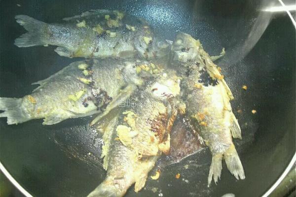 鲫鱼豆腐汤的做法图解12