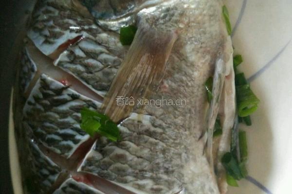 清蒸福寿鱼的做法图解2